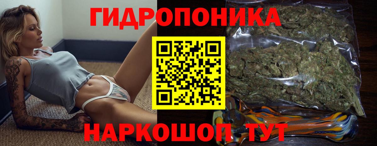МАРИХУАНА планчик  Вход с VPN  Шишки марихуана Bruce Banner  Бошки Шишки план  Гай  Каннабис White Widow 